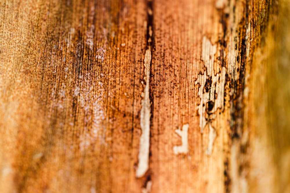 Dažniausios klaidos ir kaip jų išvengti