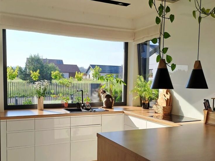 Apšvietimas ir lango dekoras