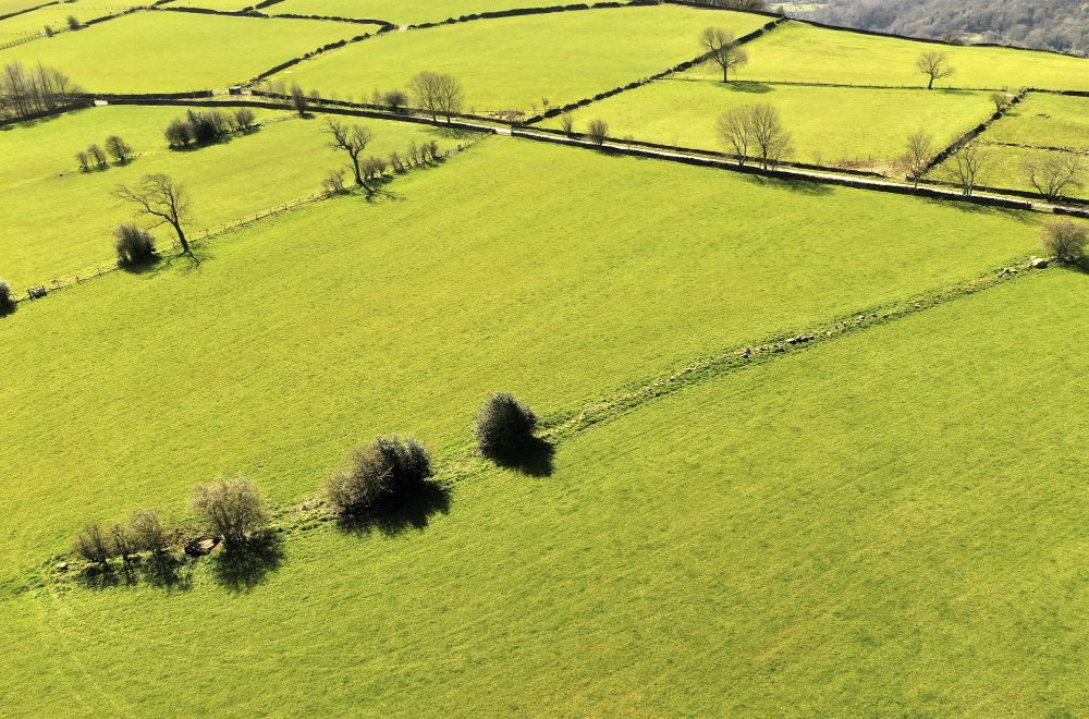 Atidarė užkulisius: ką iš tikrųjų privalai žinoti prieš keičiant žemės sklypo paskirtį