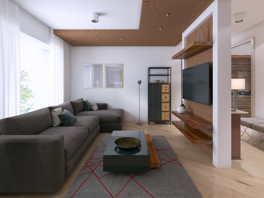 Saliono zonų išdėstymas