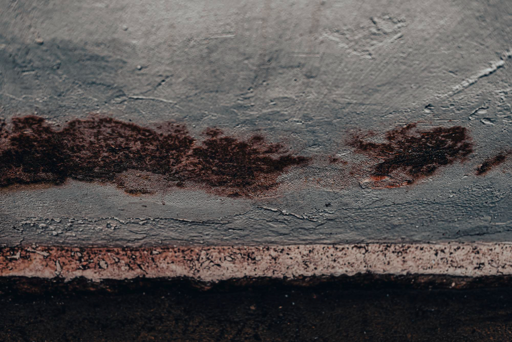 Juodasis pelėsis: pavojus sveikatai ir kaip jį saugiai pašalinti