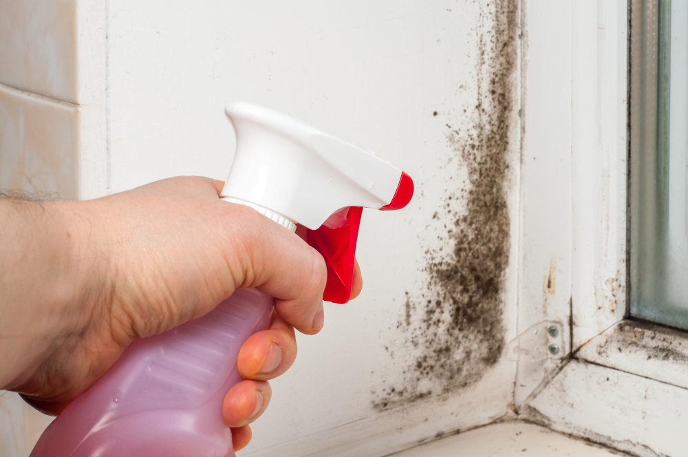 Pelėsio naikinimas: efektyviausi būdai