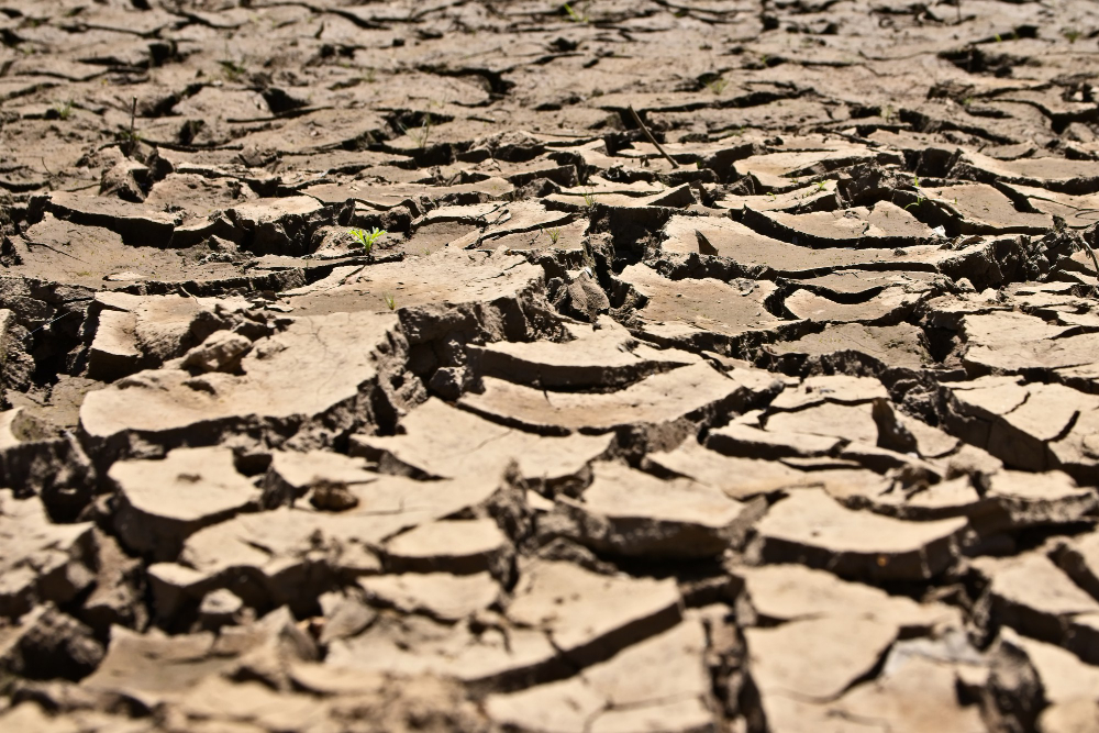 Dažniausios klaidos kovojant su dirvožemio erozija