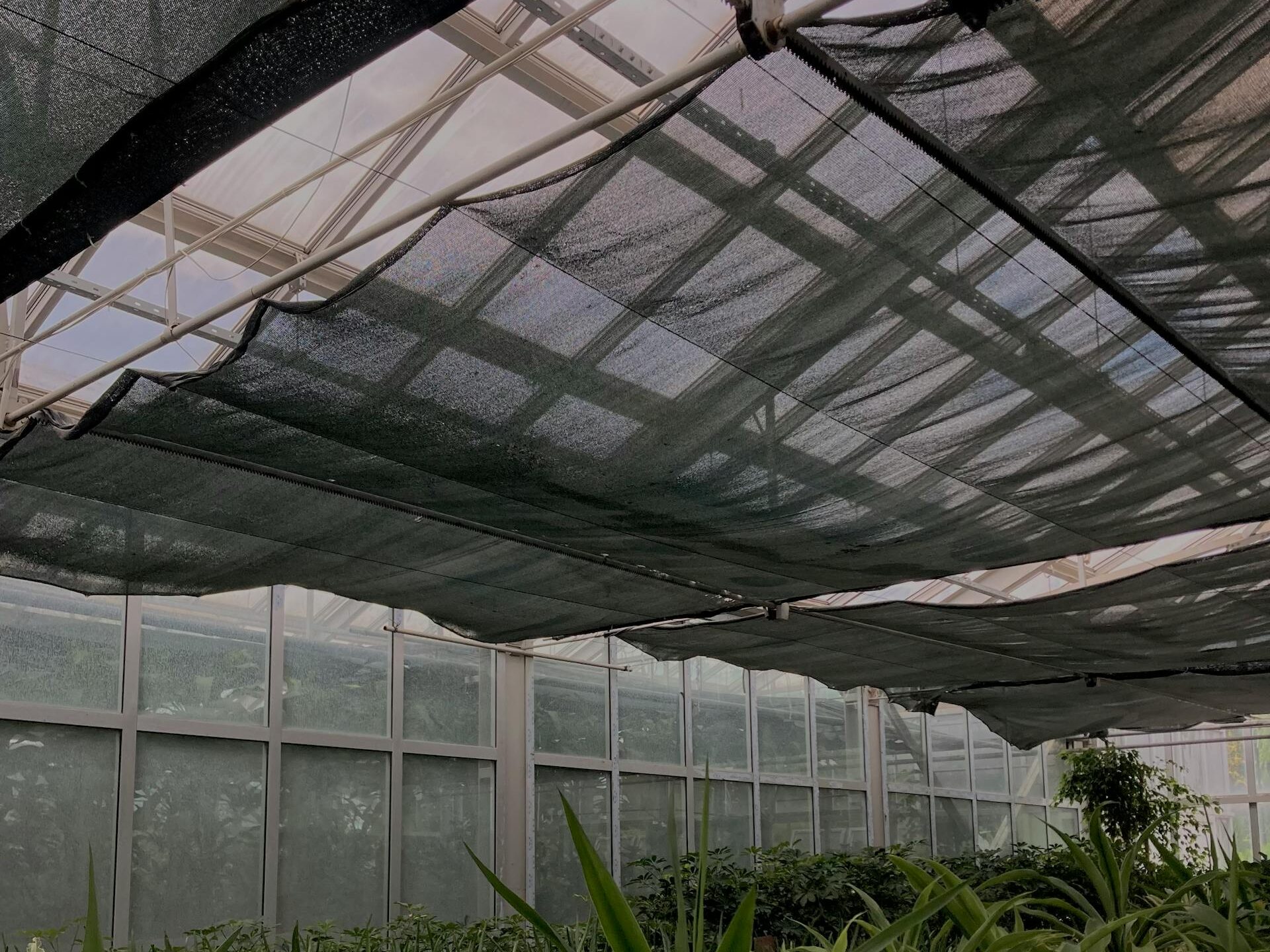 Šešėliavimo sprendimai: kaip sumažinti saulės poveikį?