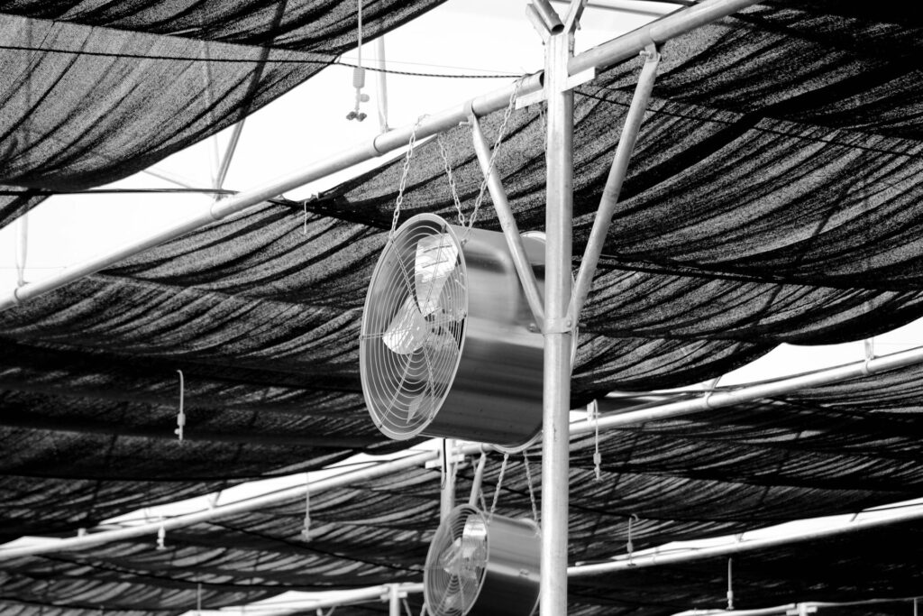 Ventiliacija – svarbiausias faktorius