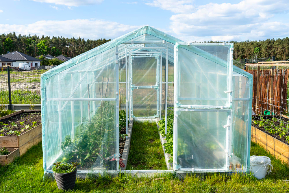 Dažniausios klaidos statant šiltnamį prie tvoros