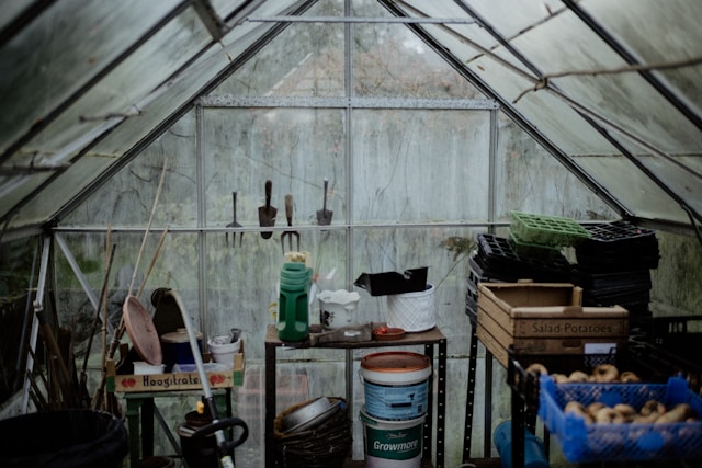 Ką pasiruošti prieš sodinimą?