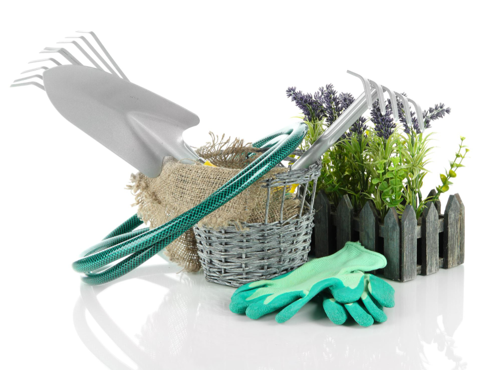 Šiltnamio valymas po žiemos