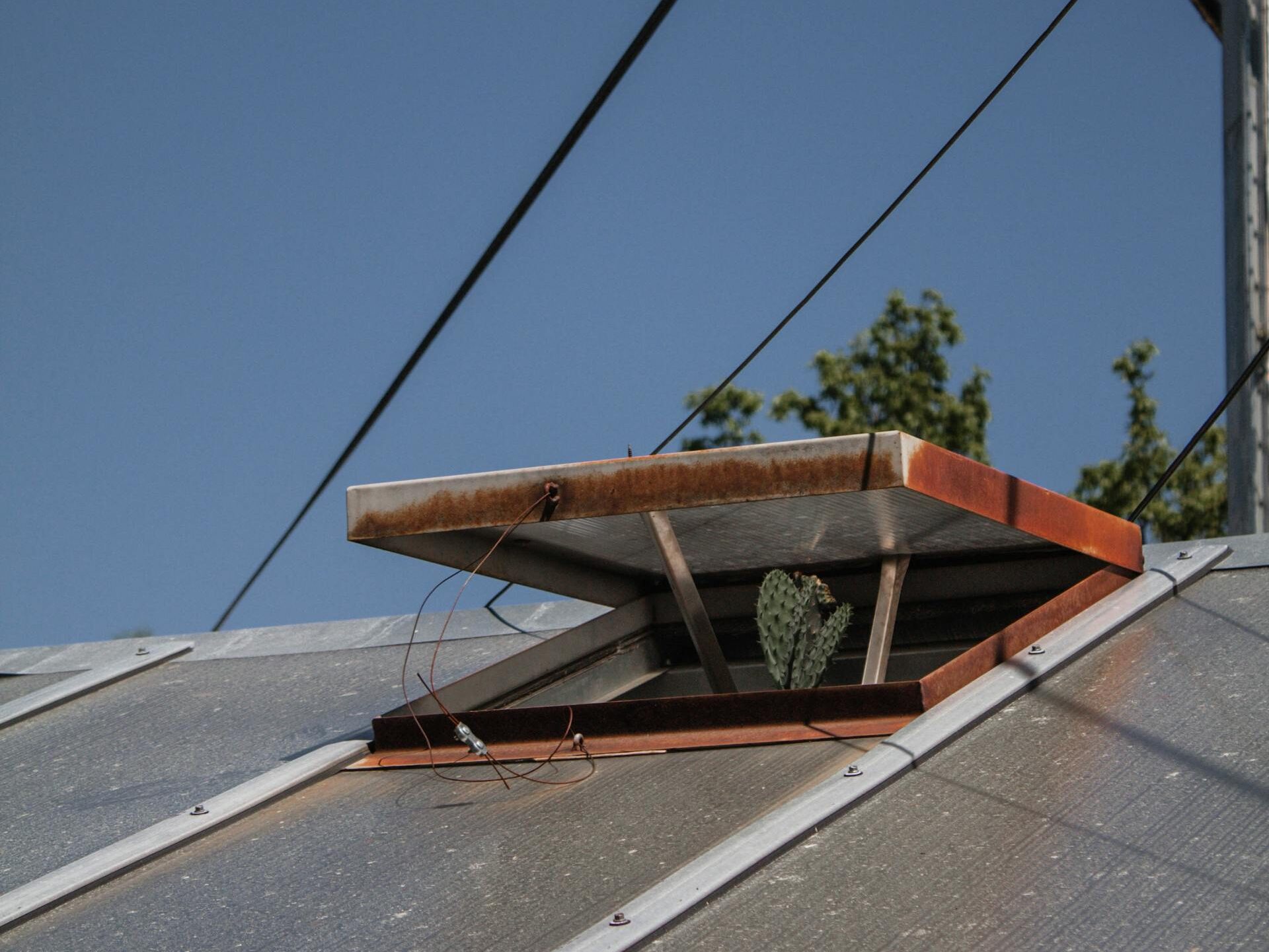 Dažniausios klaidos vėdinant šiltnamį