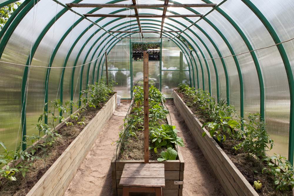 Ventiliacija ir mikroklimatas