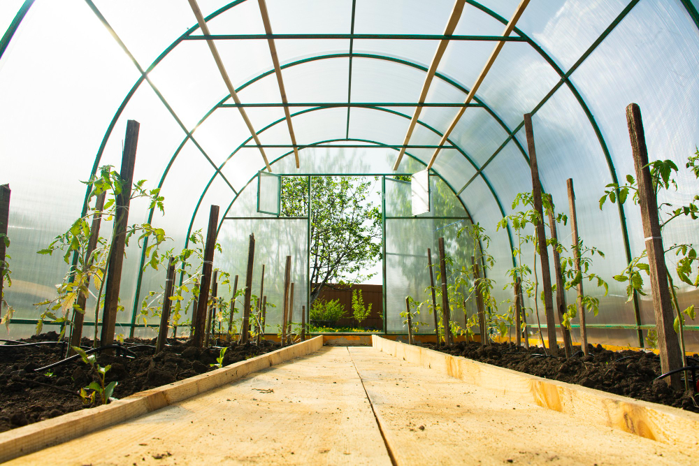 Dažniausios klaidos įrengiant šiltnamio vidų