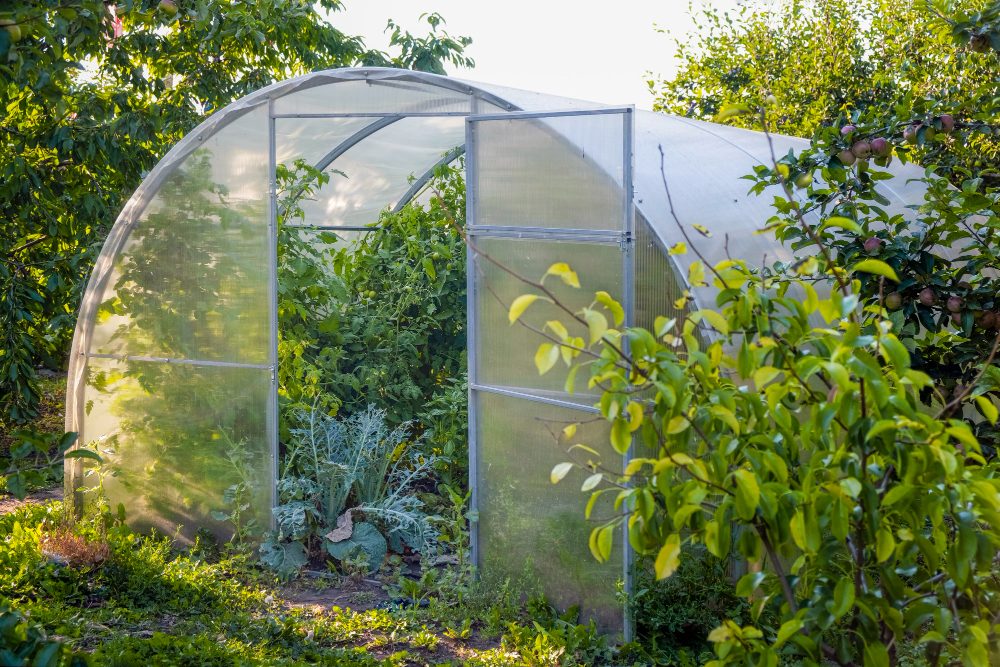 Polikarbonato šiltnamiai: populiariausias pasirinkimas