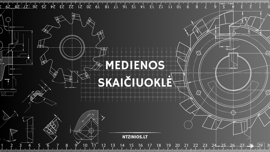 Medienos skaičiuoklė: kaip apskaičiuoti medienos kiekį?
